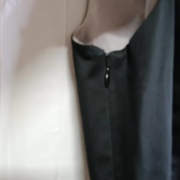 The Limited Black Sleeveless Shift Dress Size 2 - Picture 5 of 7